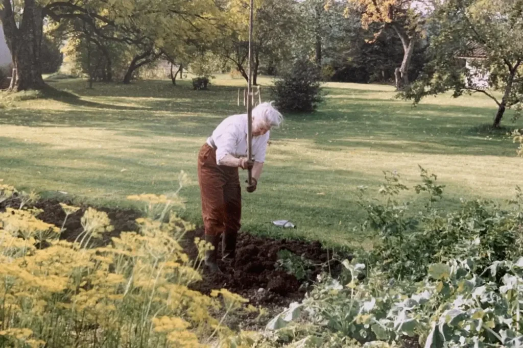 Farmor i trädgårdslandet.